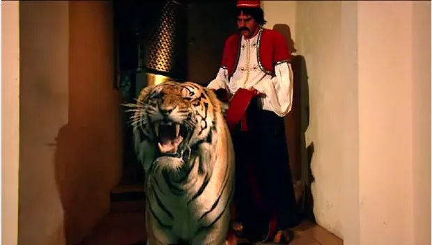 thcjqchscrfko4wjibxc80ay7 tijgerfata