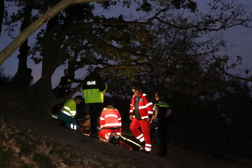 u6qw21czywq1us0brwsxa76xi 2014 00 11 09 4537 kaatsheuvel roestelberg val uit boom