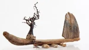 vnpkb36n1cqpvsy37dl6oaw7t ww140904 10 vlot met steen en koraal 300x200