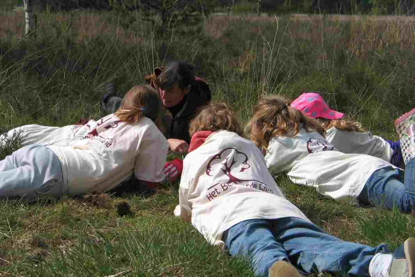 vol concentratie licht