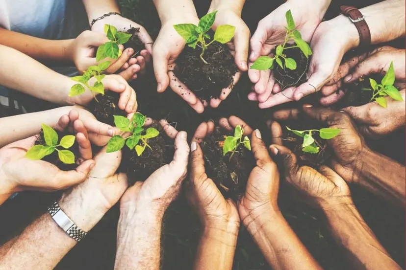 volkstuin oudheusden