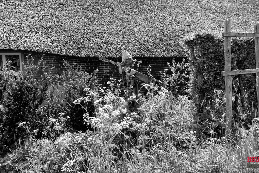 wgz 3892 2024 wil gulpen fotografie