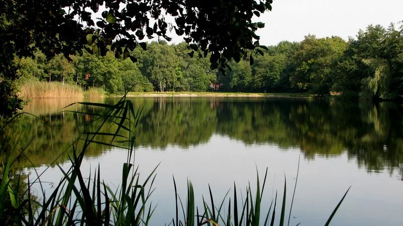 xdzpdph4uki61n7wxjh25r4pu ww140910 10annie20050920 26