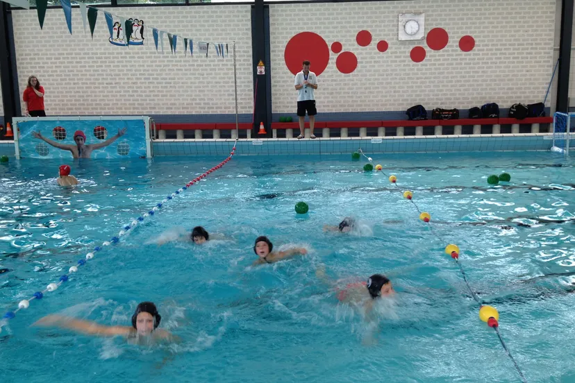 xjlxkl27k6zg6pqqytgghqwfz img1295