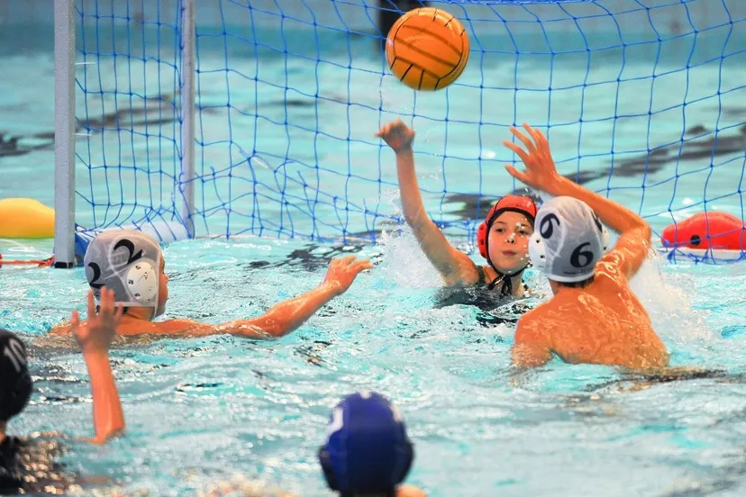 y6x51ktvz8nxltu7ppnzattvd waterpolo