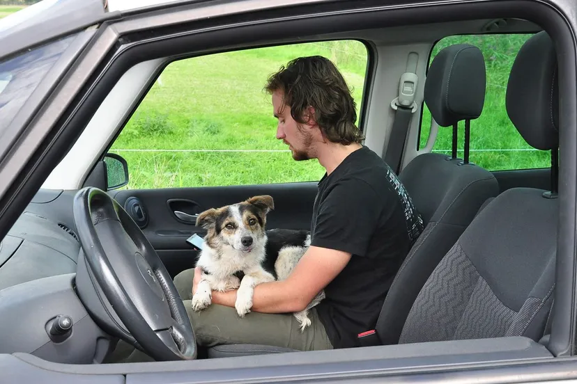 yfncbfc83ttlal2zja6tet52h dsc0922kopie