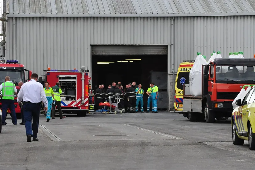 ysr0zamsr56ddgbfjpjrwrsz9 dsc1131kopie