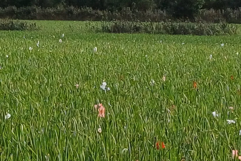 img 20240929 wa0001 002