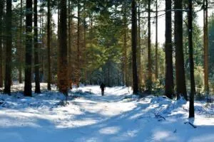 8d126dcf 0a94 4fb0 925b bc320c5db79e 4 5005 c