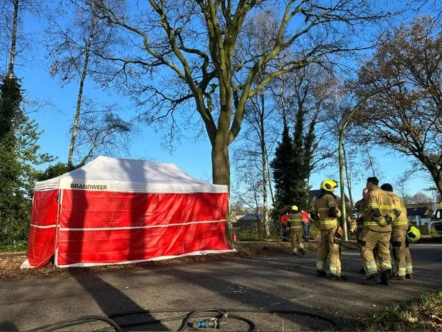 photo 2024 11 29 13 37 24