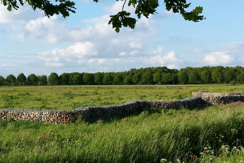 vlijmen biessertpolder 1