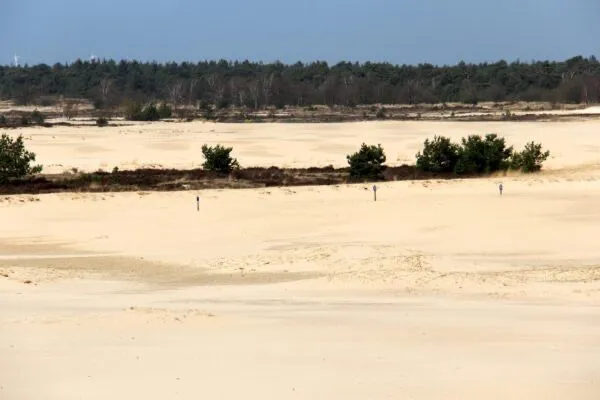 c26ce0c3 2e8f 4159 9277 1ec1e6cee8a4