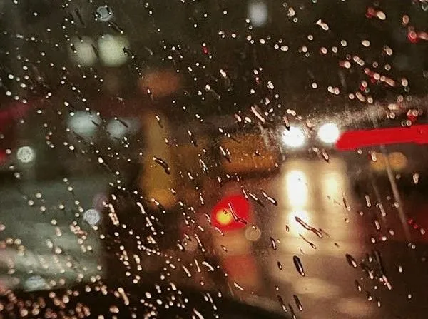 pexels photo 9736437