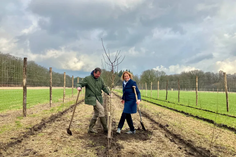 aanplant boom door hagar roijackers
