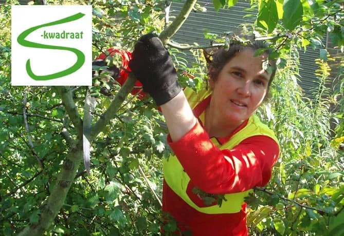 s kwadraat 1 3618275089