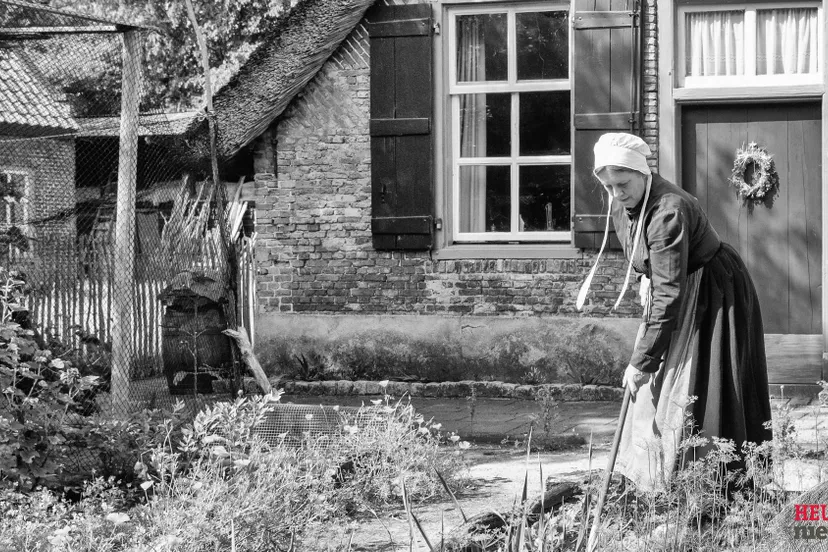 wgz 7111 c2025 wil gulpen fotografie