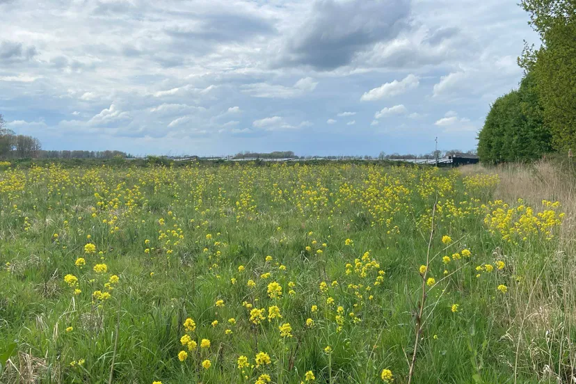 250416 hooibroeken foto natuurgebied rondom park 2