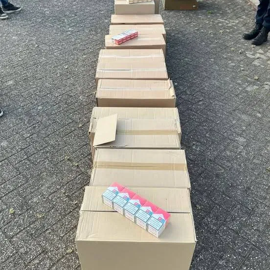 500076549 1203709511796552 7908450950584851681 n