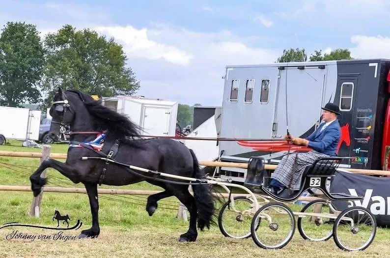 whatsapp image 2025 05 13 at 215415 1