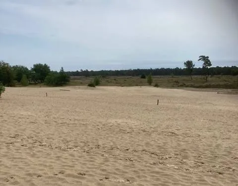 8684c691 a9a1 4215 9675 a14586f51780 1 105 c