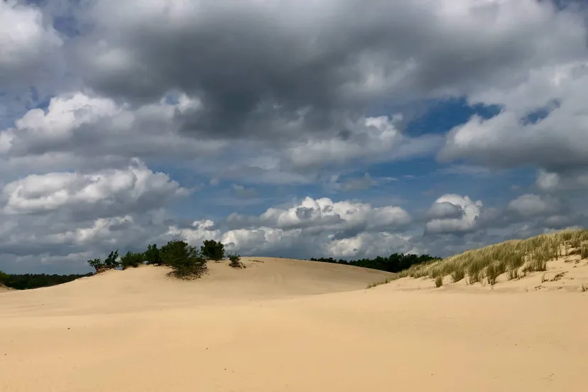 roestelberg 1 donkere wolken boven de duinen 6 7 25