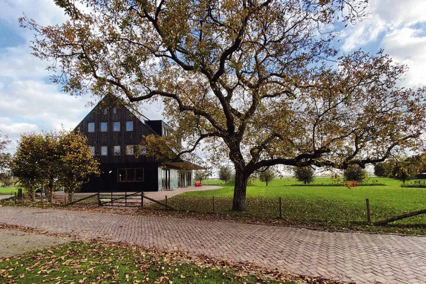 schuur 2