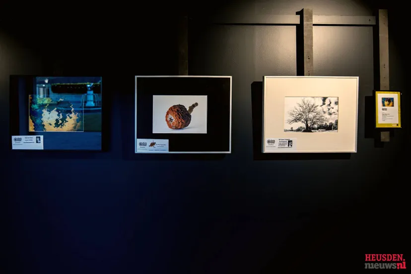 wg5 2417 2025 wil gulpen fotografiejpg