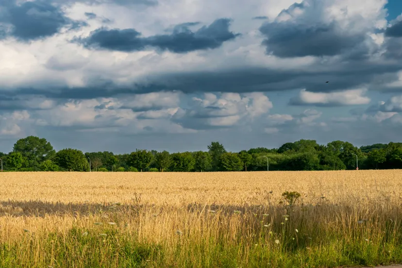 pexels-strannik-sk-33071905