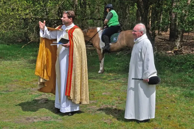 186281284-424129268679004-2811258571727155963-n