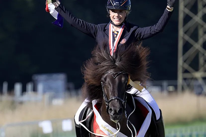 Dromelot en Glymjandi