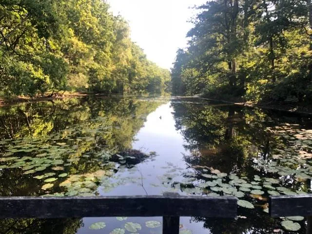 Galgenwiel zicht vanaf brug