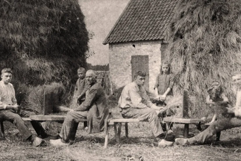 259.2 dom00355 P (1)