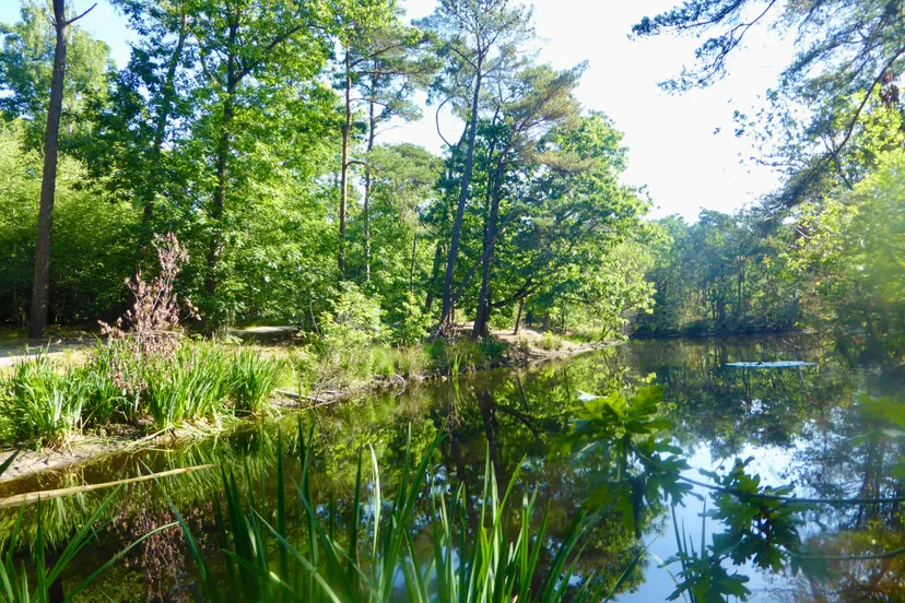 IJsbaan Kaatsheuvel voor de werkzaamheden in juli 2025
