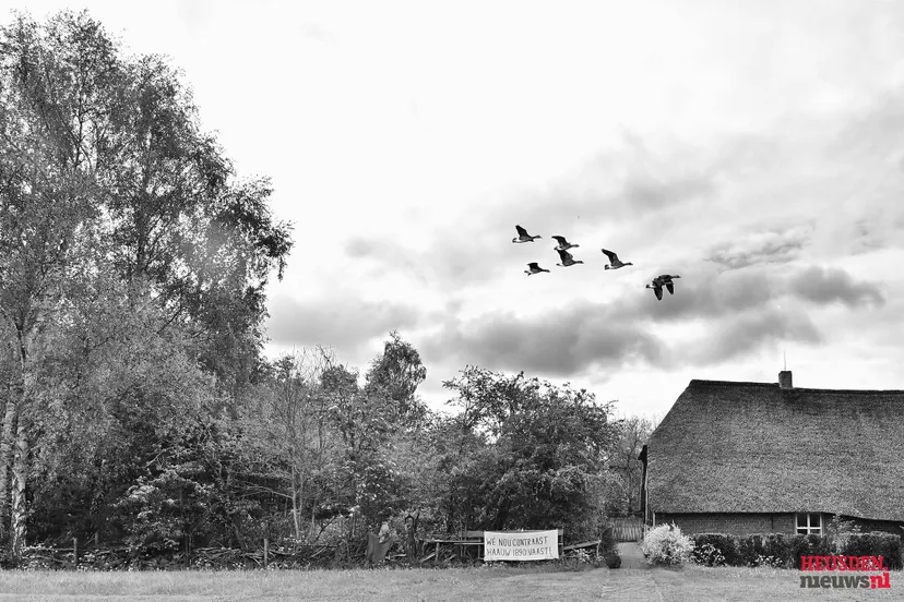 WG4_0384 C2025 Wil Gulpen Fotografie