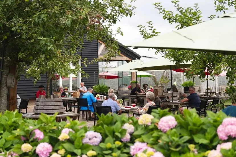 afbeelding1-69274ea4016c6