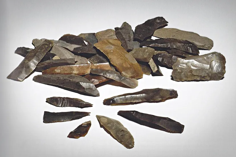 Beleef de Bieb Nationale Archeologiedagen