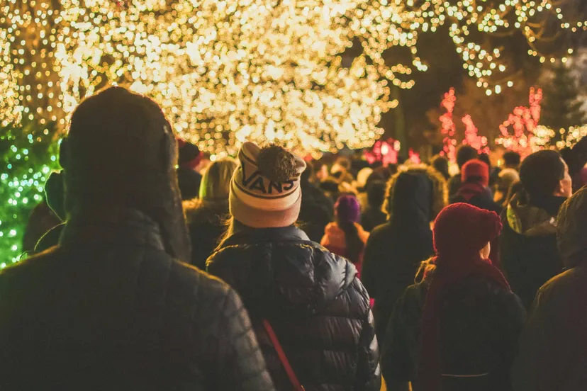 pexels-davidguerrero-1682528