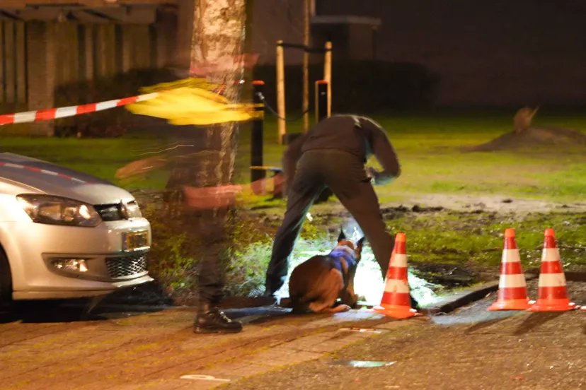 70cbbb9b-2e0c-47d1-9110-6aa3d665d642