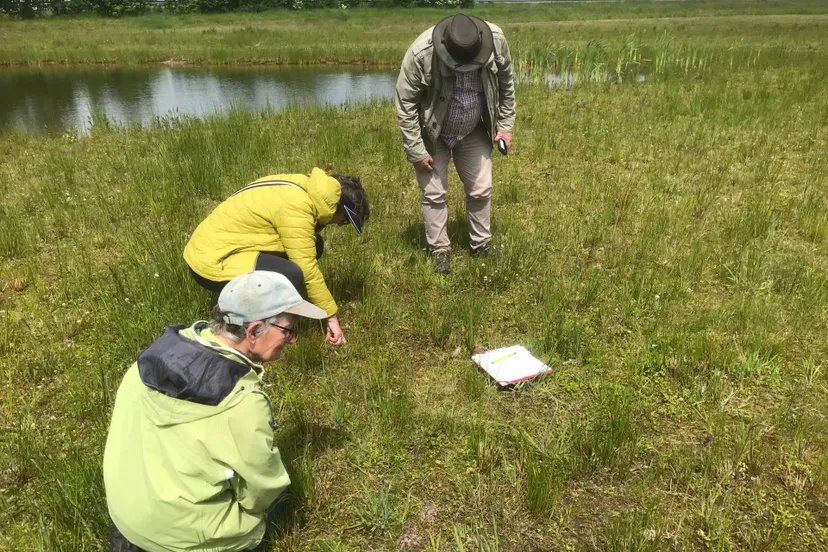 3 2026-04-26c_2024-04 Planten-inventarisatie - Klini-Hermien-Peter -  IMG-5302