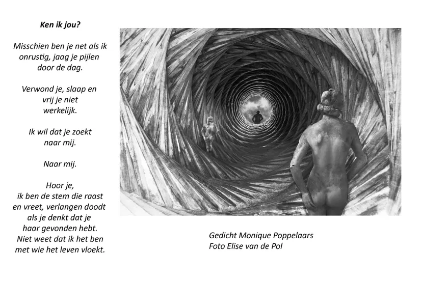 Taal in Beeld 2