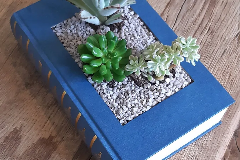 Workshop plantjes in een boek (bewerkt)
