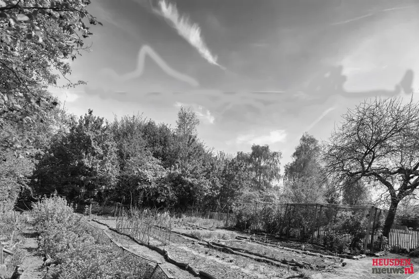 boomen over boomen