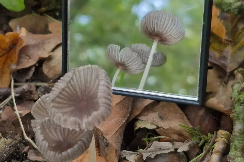 20251012_105846
