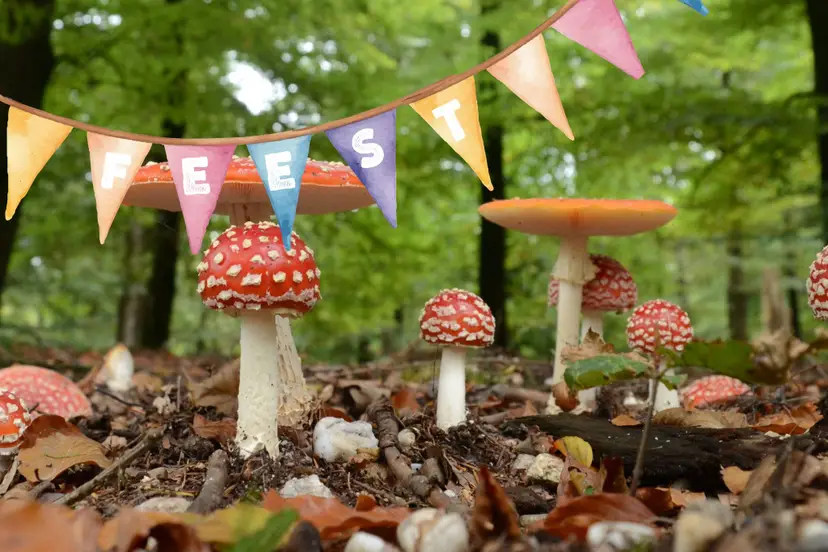 Jubileumfeest Huis ter Heide (1)