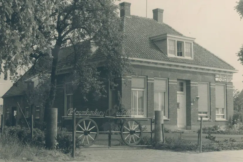M374.1 Wilhelminastraat 36  (2)