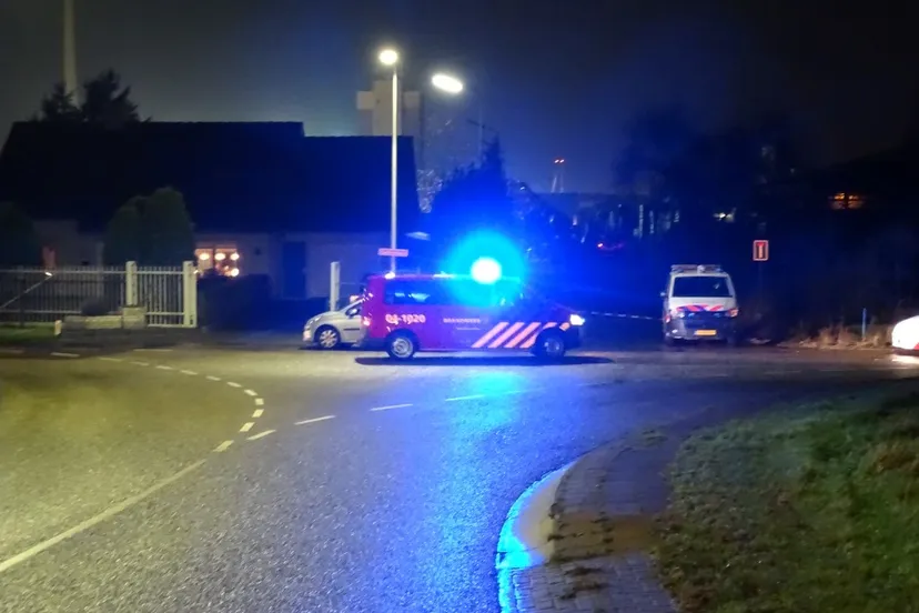 brand regelink 08122015 4 custom