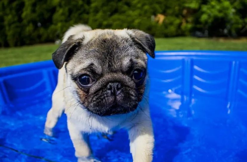 schermafbeelding 2022 07 12 om 085007