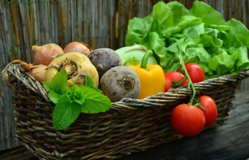 schermafbeelding 2022 10 22 om 204059