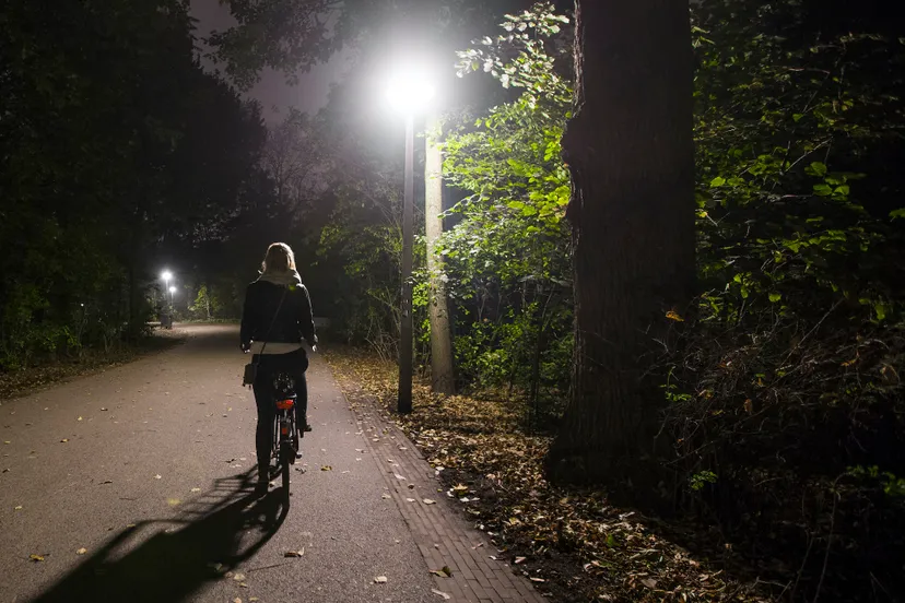 schermafbeelding 2022 12 12 om 110057