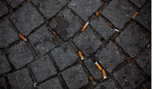 schermafbeelding 2023 08 01 113349